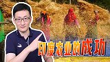 印度停止小麦出口引关注，有14亿人口的大国，为啥还有余粮出口