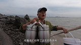 泰叔冲上平时看不见的小岛，倒潮刚退遍地是海货，这螃蟹肥的发红