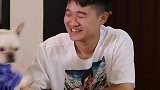 请不要轻易挑衅狗子狗不是狗