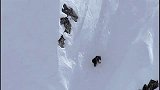 旅游-《艰难的生存——北极地区的熊
