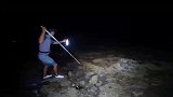 印尼渔民夜间赶海用鱼叉叉鱼太爽了，鱼获满满！