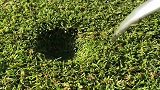 修复被压坏的草坪，师傅有专用的工具，修复起来非常简单！
