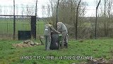 狮子咬住一头野牛，野牛同伴赶来救援，二话不说直接将狮子顶飞