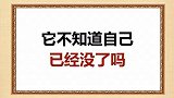 这是什么，你知道吗？