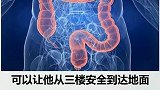 五条奇葩冷知识。