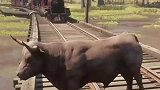 哪里来的牛？和火车撞上了！拍视频的为什么不把它救下来？