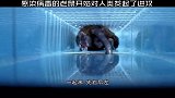老鼠病毒泛滥，导致老鼠数量剧增，开始袭击人类