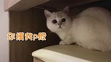 晚晚小仙女也要照镜子烫头发