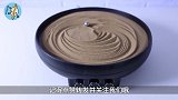 不可思议的科学现象，小钢珠自己会转圈，你知道原理吗