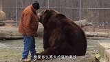 冒失的浣熊闯入居民家后院，被困狗子逮个正着，心疼浣熊三分钟