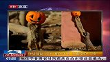 馋嘴猫鼬“接力”偷吃美食 争戴南瓜“头套”