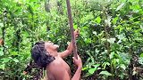 瓦拉尼人荒野求生，徒手攀爬40米大树，只为给妻儿谋得一餐