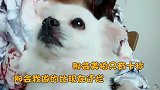 火爆街头巷尾的【榨菜鲜肉月饼】来袭，好吃到舔手指！