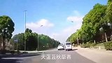 太逗了，这大哥是第一天出来碰瓷吧，一点都不懂规矩！