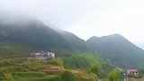 【科技资讯】神奇的“空气种菜”法，种菜不用土和水