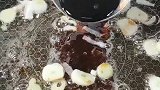 香菇油菜做法全家最爱