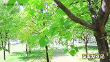 真人和平精英，肉肉捡到6把装备却被伏击，一招千手观音轻松制敌