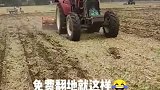 这就是传说中的免费耕地，农村人一看就懂，只要钱到位就行