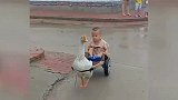 爆笑：平底锅妙用，媳妇瞬间领悟
