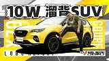 10W块的SUV 到底香不香？｜萝卜报告