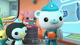 海底小纵队：冰层太厚巴克队长破冰很困难