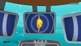 海底小纵队之海底报告：最大的硬骨鱼之翻车鱼