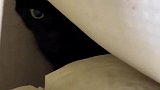 一年没人住发现一窝小猫咪