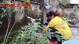 好好吃饭了，胖妹自制青椒炒鱿鱼丝，真香