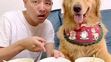四毛这三个菜是什么水平？