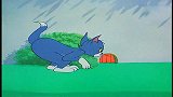 猫和老鼠：汤姆真是可怜，被杰瑞耍的团团转，还被狗爸爸当成敌人