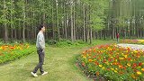 上海共青森林公园花海