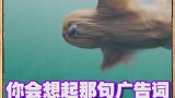 遭了，是心动的感觉！钱包：不，你不想！