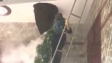 烟熏蜂巢是有道理的，这效果蜜蜂全都散开了