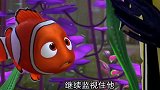 海底总动员：吉哥尼莫计划逃走，发生意外