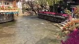 整个夏天想和你去丽江旅游！风景如画的世界！