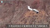 3000万跑车PK战斗机，谁的速度更牛呢，穿过终点时太惊险了