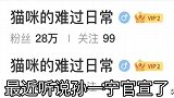 孙一宁涨粉三百万，收入上万就因为王思聪的舔狗
