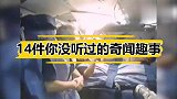 14件你没听过的奇闻趣事，世界上最短的航班仅不到一分钟？