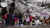 日本70岁老奶奶，“复活”500名逝者，并与他们同吃同睡