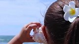为什么贝壳可以听到海浪声？