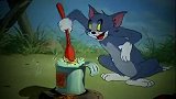 猫和老鼠：小鸭子主动跳进了汤姆的锅里