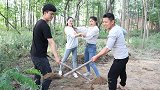 喜剧：田田因为一点土，把小小打一顿，结果三哥一句话事情被解决