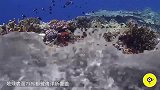 两小伙黑科技发明, 漂浮海上的垃圾桶, 拯救上亿生命!