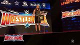 WWE-15年-摔角狂热32发布会 斯蒂芬讨论摔角狂热-新闻