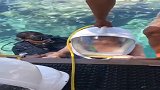 发现更多有趣