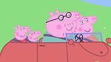 小猪佩奇：佩奇一家要去土豆城，结果来到田地，又走错路了