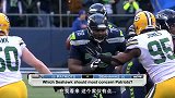 NFL-1415赛季-季后赛-超级碗-谁是爱国者与海鹰的超级碗制胜X因素-专题