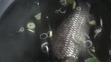 鱼洗澡就洗澡，你放葱姜蒜是几个意思，就算煮了也不是这样！