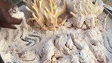 印度小伙的鸡肉创新吃法，油炸薯条鸡，外酥里嫩赛过肯德基麦当劳