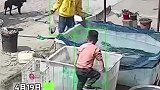 山东临沂：小男孩看姥姥卖的鱼，一不小心和鱼一起游个泳